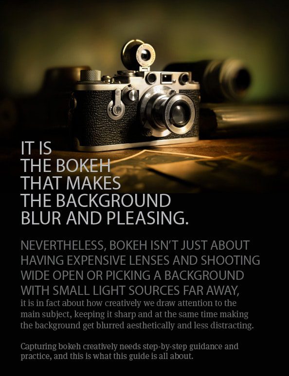 A Photographer’s Guide to Artistic Bokeh - Bokeh, Photography Techniques, Background Blur, Photography Guide, Artistic Photography