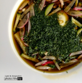 Okroshka, by Rasha Rashad - Food Photography, Photography Award, Photo of the Day, Rasha Rashad, Award Winning Photography