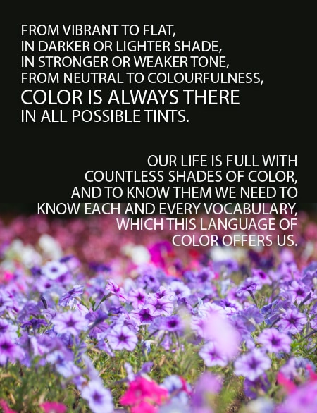 A Photographer’s Guide to Color & Color Management - Color Photography, Color Management, Photography Techniques, Digital Photography, Image Editing