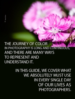 A Photographer’s Guide to Color & Color Management - Color Photography, Color Management, Photography Techniques, Digital Photography, Image Editing