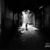 Stray Dog in an Alleyway by Shirren Lim - Street Photography, Photojournalism, Award Winning Photography, Shirren Lim, Documentary Photography