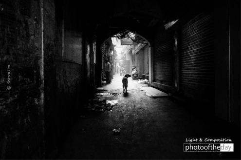 Stray Dog in an Alleyway by Shirren Lim - Street Photography, Photojournalism, Award Winning Photography, Shirren Lim, Documentary Photography