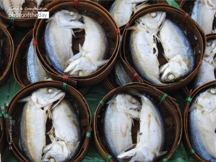 Thai Mackerel Fishes by Ryszard Wierzbicki - Food Photography, Award Winning Photography, Photo of the Day, Thai Mackerel,  Photography Awards