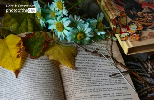 Autumn on the Book by Fidan Nazim Qizi - Photo of the Day, Still Life Photography, Art Photography, Photography Awards, Online Photography Courses