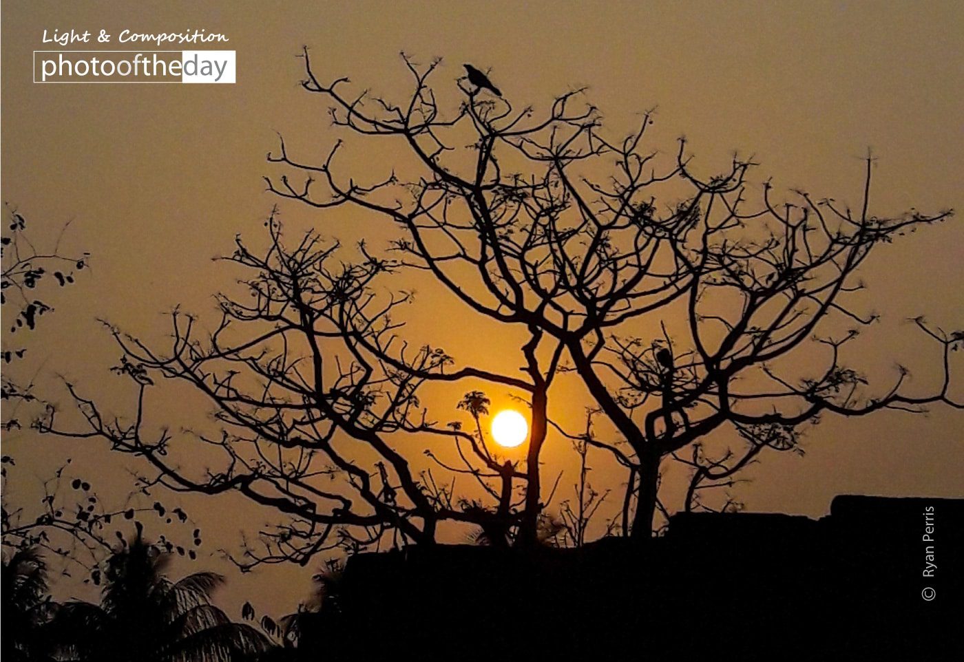 Sunset Photography, Award Winning Photography, Photo of the Day, Art Photography, Photography Awards - Canvas of Silence by Ryan Perris Canvas of Silence by Ryan Perris - Sunset Photography, Award Winning Photography, Photo of the Day, Art Photography, Photography Awards