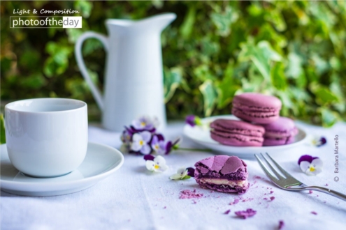 Violet Macarons and a Coffee Cup by Barbara Martello - Food Photography, Photo of the Day, Photography Awards, Art Photography,  Barbara Martello