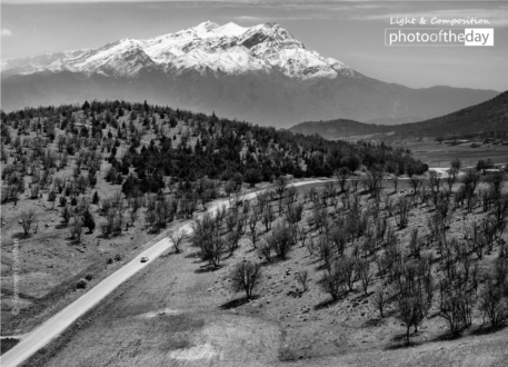 The Road of Life by Fatemeh Pishkhan - Art Photography, Landscape Photography, Photo of the Day, Fatemeh Pishkhan, Photography Awards
