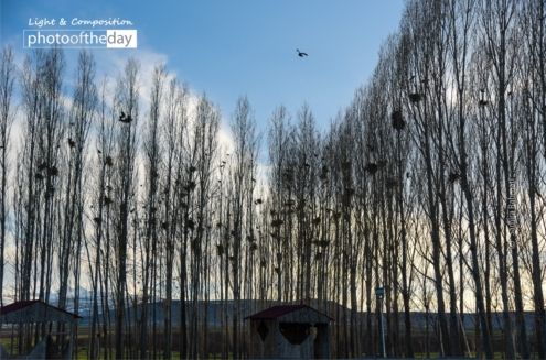 Home by Samira Rahmati - Photojournalism, Photography Awards, Photo of the Day, Art Photography, Online Photography Courses