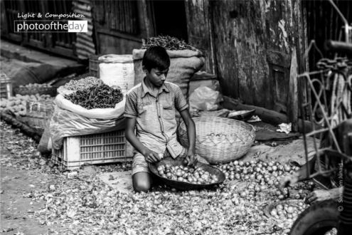 Looking for Livelihood by Sammam Junaid - Photojournalism, Child Labor Photography, Award Winning Photography, Documentary Photography, Photography Awards