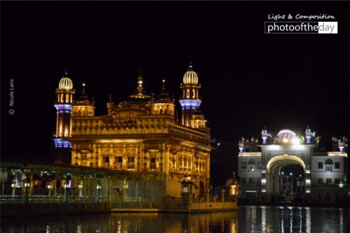 Golden Temple by Nicole Laris - Golden Temple, Night Photography, Photo of the Day, Photography Awards, Art Photography