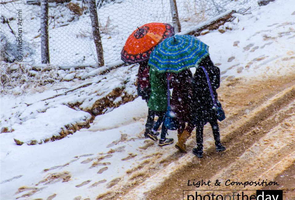 Photojournalism, Photography Awards, Photo of the Day, Art Photography, Online Photography Courses - Two for the Four by Moslem Azimi Two for the Four by Moslem Azimi - Photojournalism, Photography Awards, Photo of the Day, Art Photography, Online Photography Courses