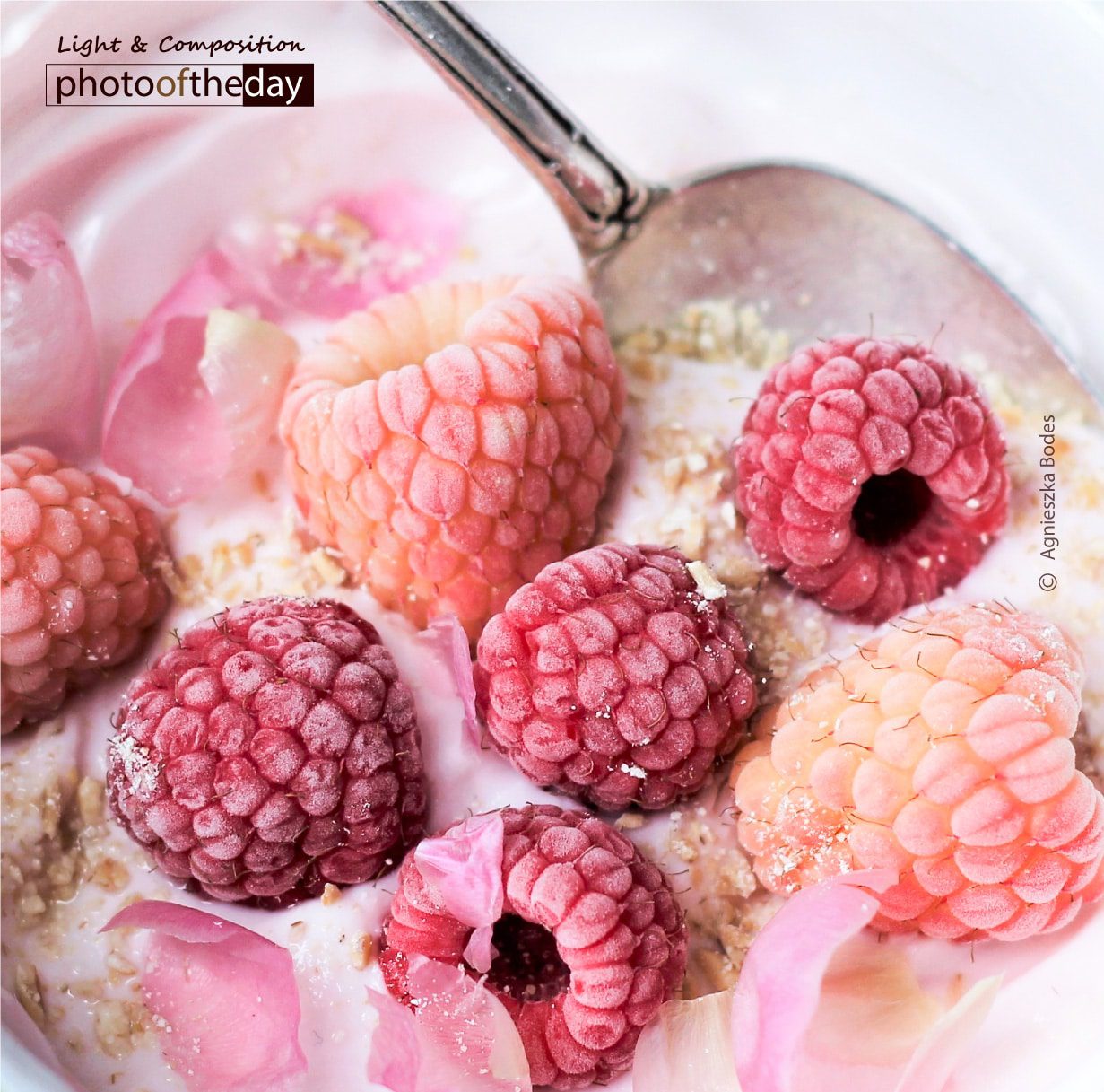 Ombre Effect by Agnieszka Bodes