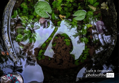 Reflection of Self by Niranchana S - Artistic Photography, Photo of the Day, Photography Awards, Reflection Photography, Online Photography Courses