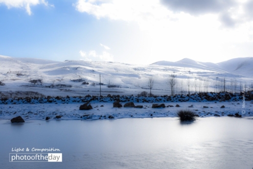 Cold Winter by Moslem Azimi - Nature Photography, Winter Photography, Award Winning Photography, Photo of the Day, Light & Composition University