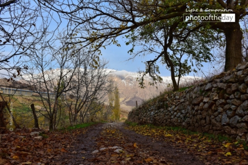 Fall Sense by Moslem Azimi - Nature Photography, Photography Awards, Photo of the Day, Art Photography, Online Photography Courses