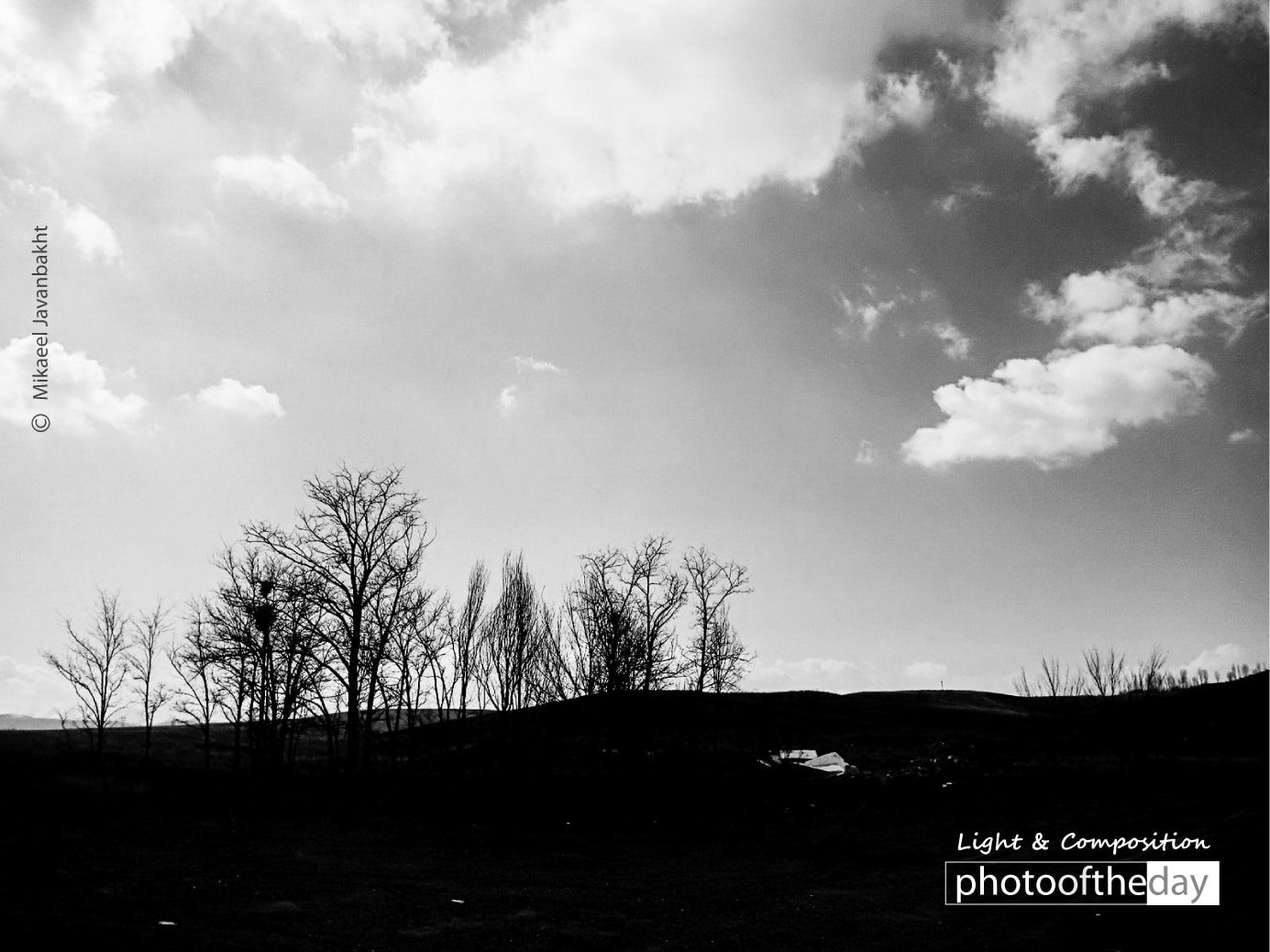 Artistic Photography, Photo of the Day, Photography Awards, Online Photography Courses, Light & Composition University - Black Trees by Mikaeel Javanbakht Black Trees by Mikaeel Javanbakht - Artistic Photography, Photo of the Day, Photography Awards, Online Photography Courses, Light & Composition University