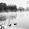 Winter Dreams by Kirsten Bruening - Black and White Photography, Photo of the Day, Photography Awards, Art Photography, Kirsten Bruening