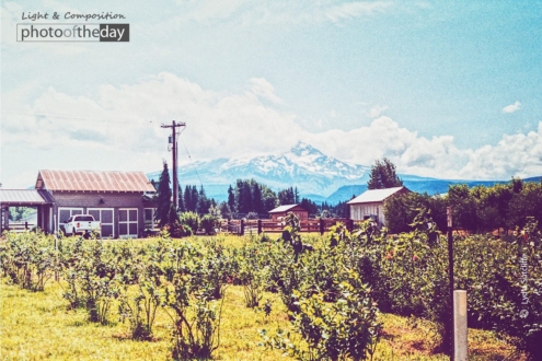 Purple Sky Dreams by Lydia Sutcliffe - Landscape Photography, Photo of the Day, Photography Awards, Art Photography, Online Photography Courses