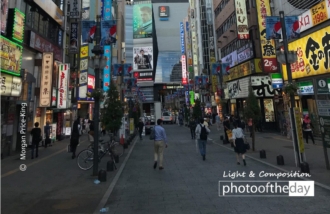 Shinjuku by Morgan Price-King