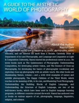 Photography Aesthetics, Composition, Visual Elements, Photography Education, Online Photography Courses - A Guide to the Aesthetic World of Photography A Guide to the Aesthetic World of Photography - Photography Aesthetics, Composition, Visual Elements, Photography Education, Online Photography Courses