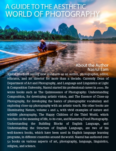 Photography Aesthetics, Composition, Visual Elements, Photography Education, Online Photography Courses - A Guide to the Aesthetic World of Photography A Guide to the Aesthetic World of Photography - Photography Aesthetics, Composition, Visual Elements, Photography Education, Online Photography Courses