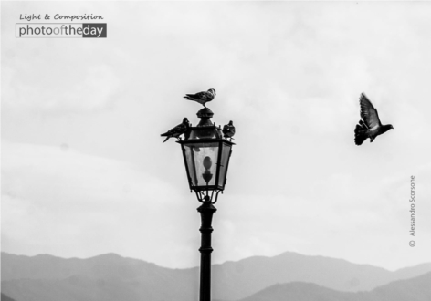 A Testament to Life by Alessandro Scorsone - Photojournalism, Black and White Photography, Award Winning Photography, Alessandro Scorsone, Photo of the Day