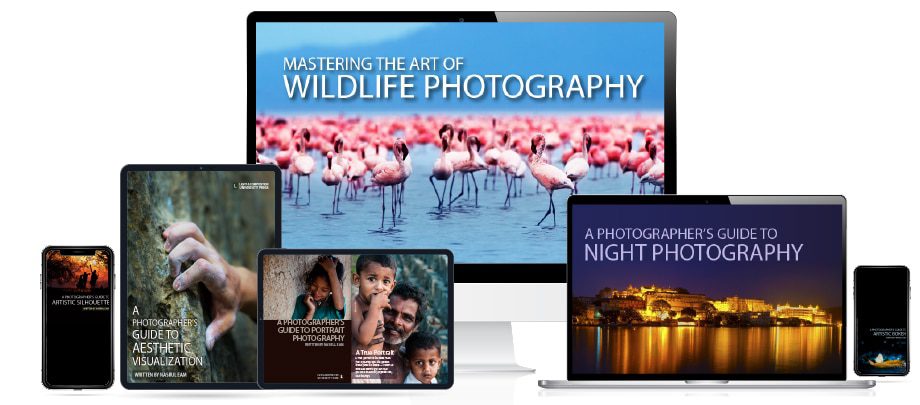 The Most Prestigious Photography Award - Most Prestigious Photography Award