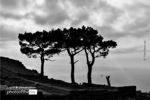 Bibiheybat by Fidan Nazim Qizi - Photojournalism, Award-Winning Photography, Baku, Azerbaijan, Fidan Nazim Qizi