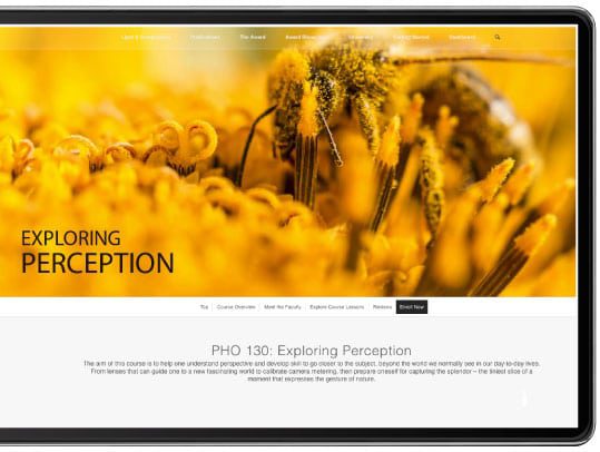 Diploma in Nature Photography - Nature Photography, Online Photography Courses, Photography Diploma, Wildlife Photography, Landscape Photography