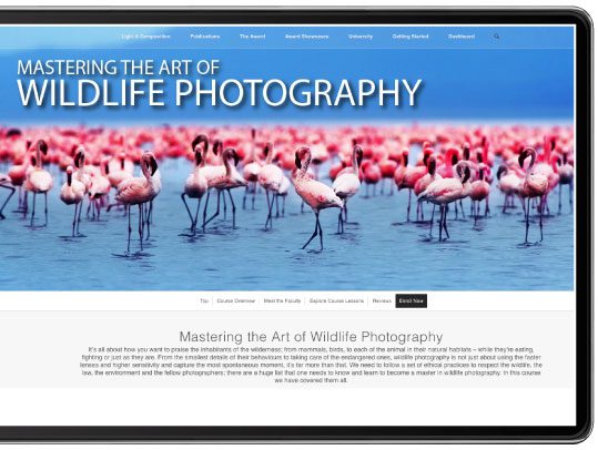 Diploma in Nature Photography - Nature Photography, Online Photography Courses, Photography Diploma, Wildlife Photography, Landscape Photography