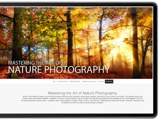 Diploma in Nature Photography - Nature Photography, Online Photography Courses, Photography Diploma, Wildlife Photography, Landscape Photography