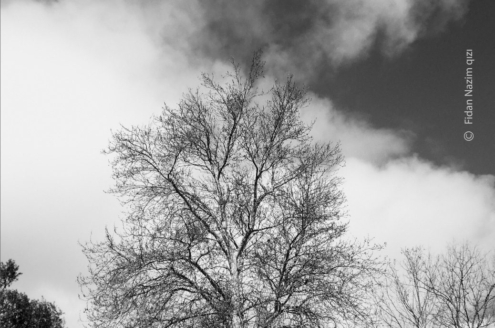City of Winds by Fidan Nazim Qizi - Photo of the Day, Nature Photography, Award Winning Photography, Baku, Fidan Nazim Qizi