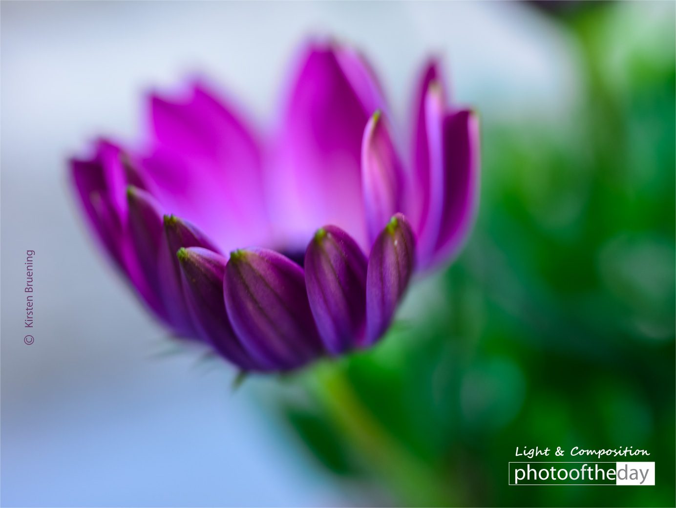 Photojournalism, Photography Awards, Art Photography, Online Photography Courses, Photo of the Day - There is Always a Story by Kirsten Bruening There is Always a Story by Kirsten Bruening - Photojournalism, Photography Awards, Art Photography, Online Photography Courses, Photo of the Day