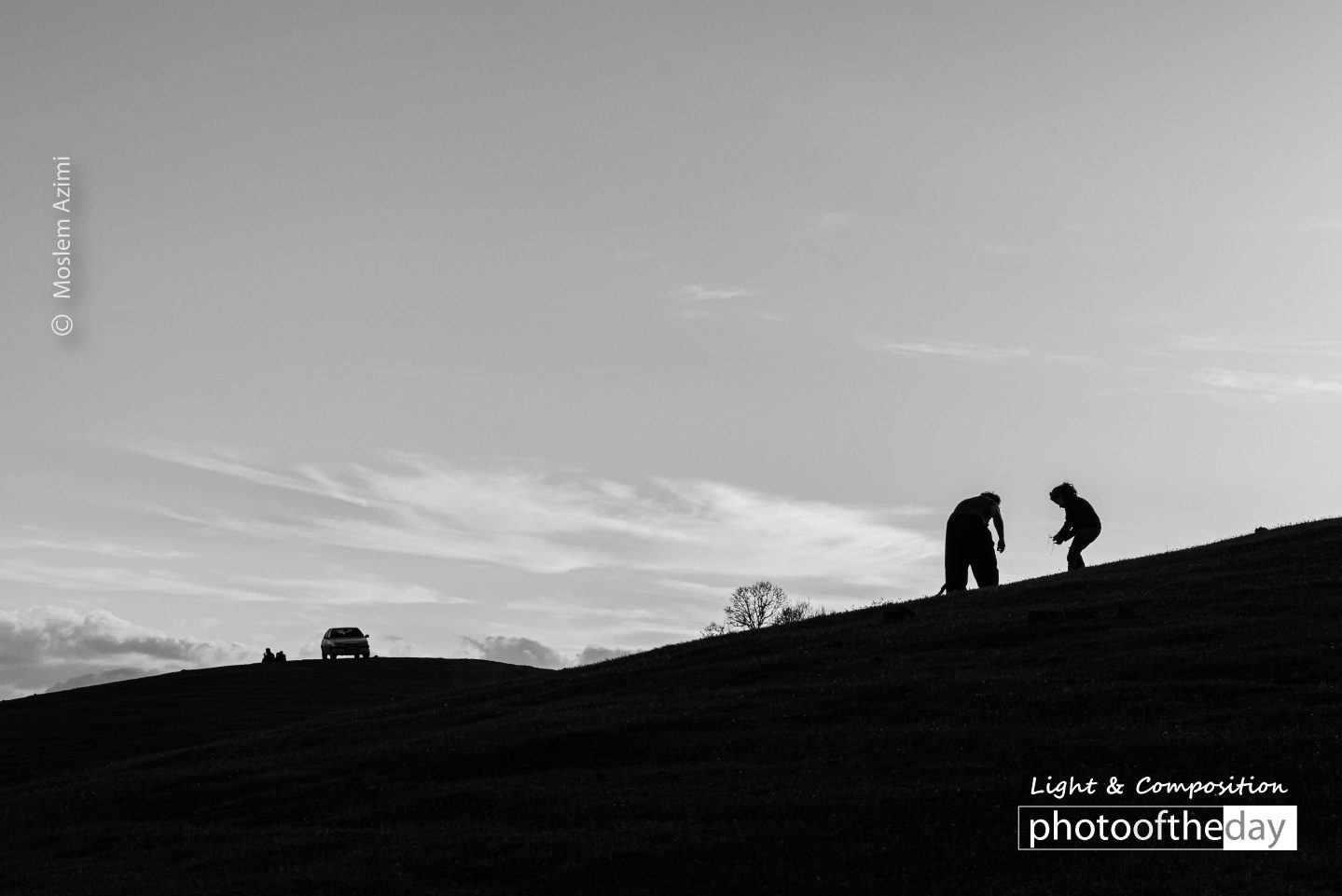 A Form of Life by Moslem Azimi - Minimalist Photography, Award Winning Photography, Photo of the Day, Moslem Azimi, Art Photography