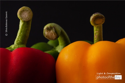 Aliens by Silvia Bukovac Gasevic - Photojournalism, Photography Awards, Art Photography, Photo of the Day, Silvia Bukovac Gasevic