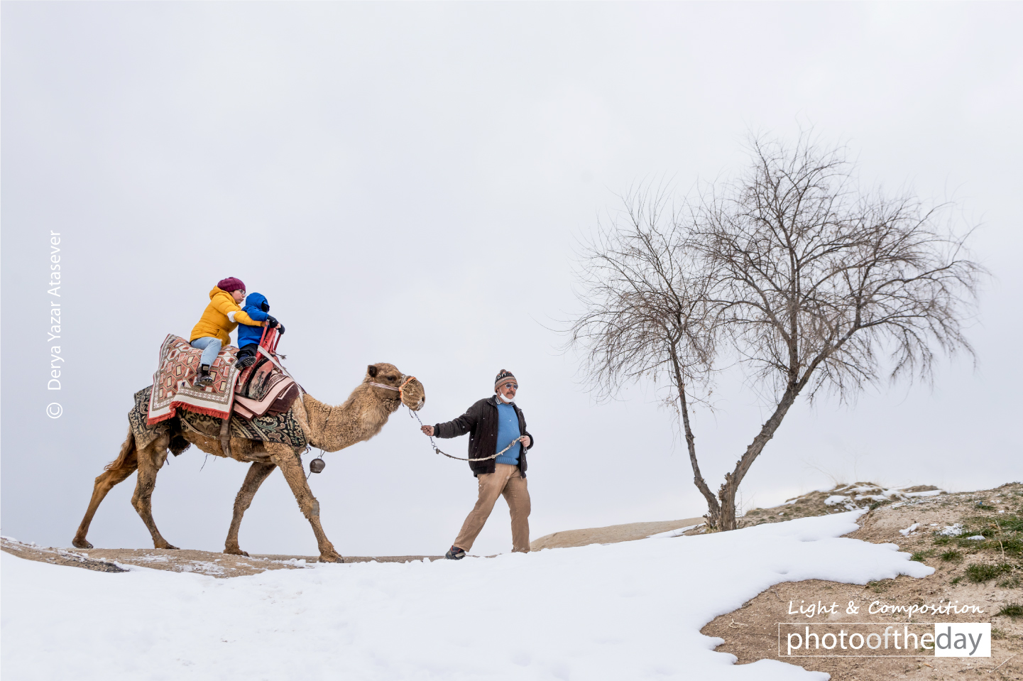 Travel Photography, Photojournalism, Cappadocia Photography, Camel Photography, Award-Winning Photography - A Pleasure to Ride a Camel by Derya Yazar Atasever A Pleasure to Ride a Camel by Derya Yazar Atasever - Travel Photography, Photojournalism, Cappadocia Photography, Camel Photography, Award-Winning Photography
