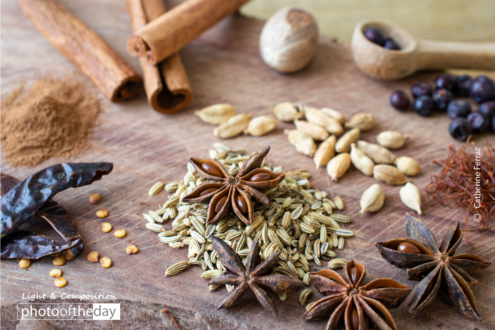 Assortment of Spices by Catherine Ferraz - Food Photography, Photography Lighting, Natural Light Photography,  Food Photography Techniques, Light & Composition University