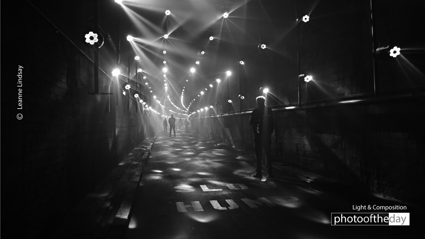 Confusion by Leanne Lindsay - Artistic Photography, Photo of the Day, Photography Awards, Online Photography Courses, Leanne Lindsay