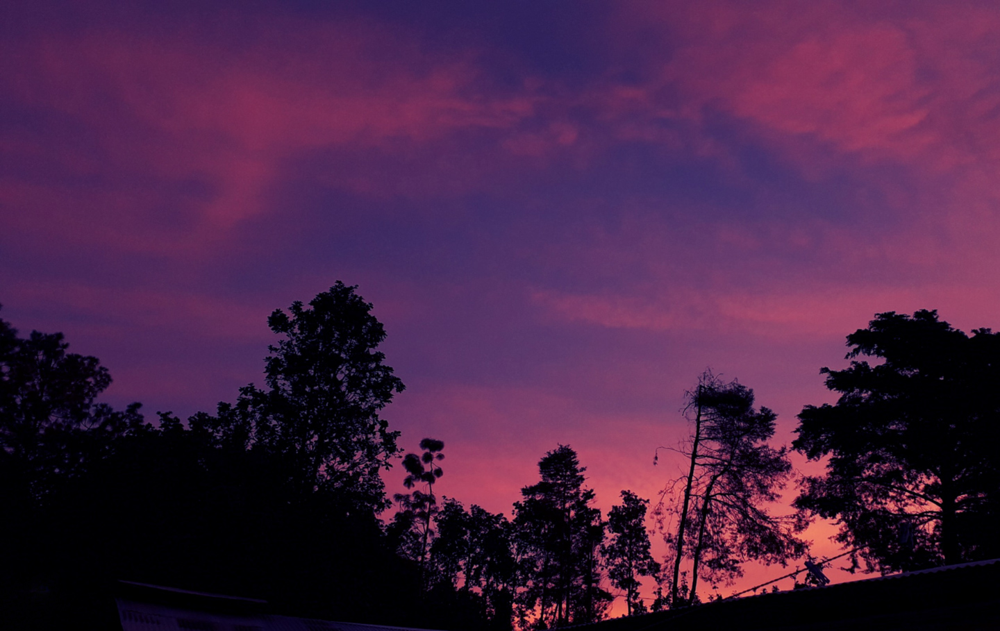 Sunrise Photography, Photography Awards, Photo of the Day, Art Photography, Rosa Pérez - Dawn of Life by Rosa Pérez Dawn of Life by Rosa Pérez - Sunrise Photography, Photography Awards, Photo of the Day, Art Photography, Rosa Pérez