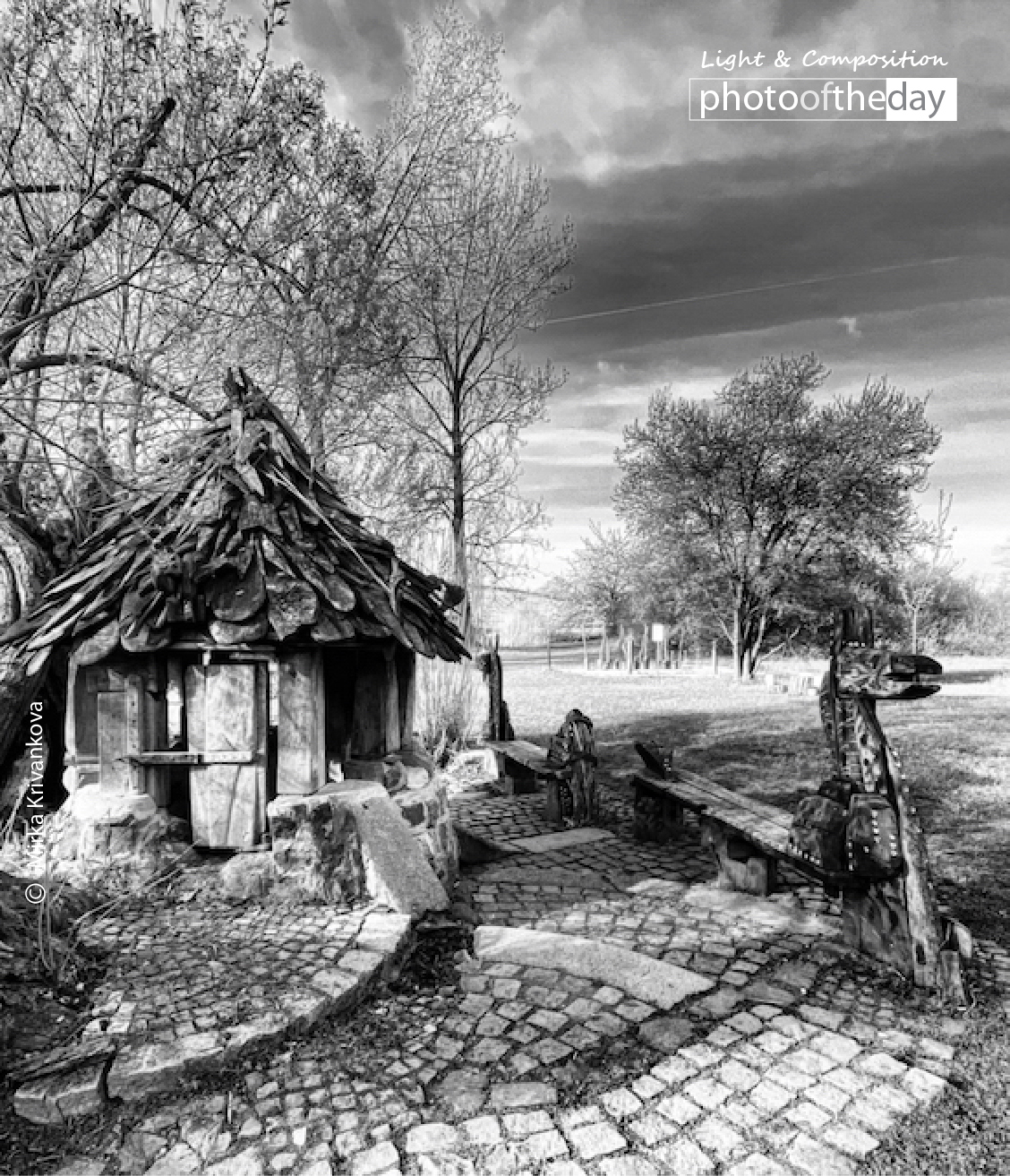 Educational Trail at Holske Ponds by Mirka Krivankova - Photojournalism, Nature Photography, Photography Education, Mirka Krivankova, Light & Composition