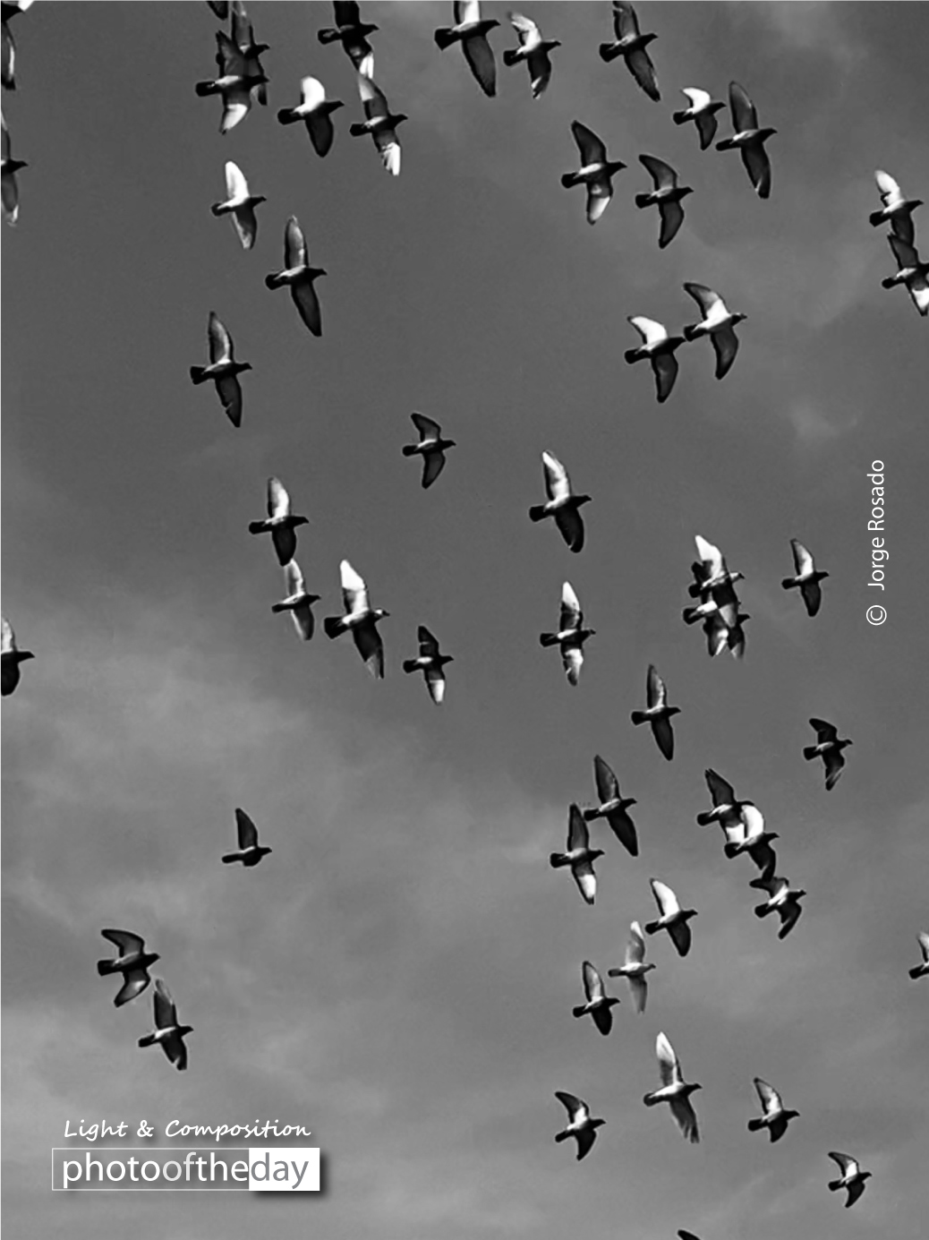 Forward as One by Jorge Rosado - Photojournalism, Photography Awards, Photo of the Day, Art Photography, Online Photography Courses