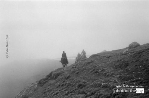 Horses in Gryz Village by Fidan Nazim Qizi - Photojournalism, Adventure Photography, Photography Education, Art Photography, Fidan Nazim Qizi
