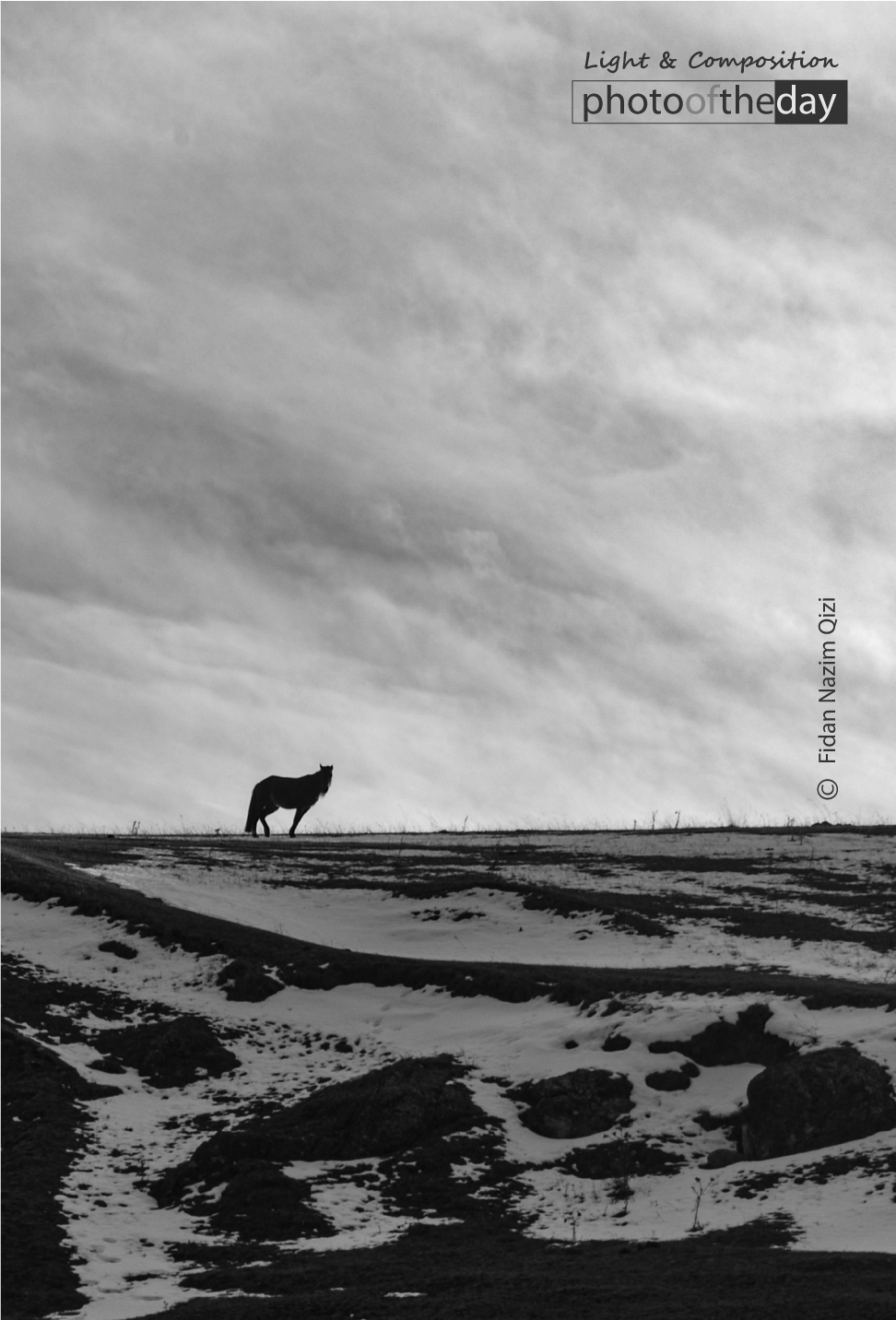 Into the Hue of Nature by Fidan Nazim Qizi - Nature Photography, Minimalist Photography, Photo of the Day, Art Photography, Photography Awards