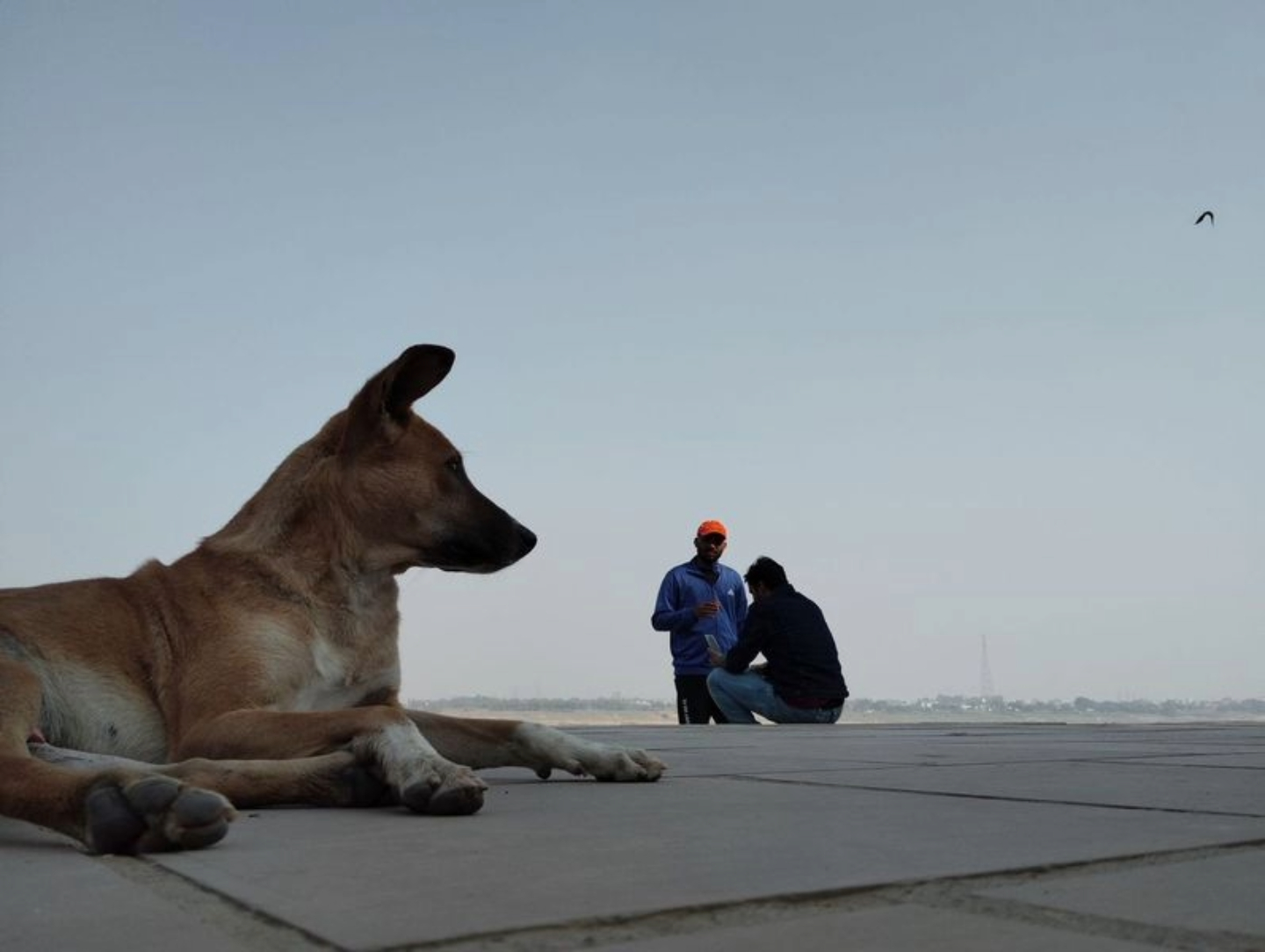 A Perspectives by Aman Raj Sharma - Photo of the Day, Photography Awards, Art Photography, Photojournalism, Online Photography Courses