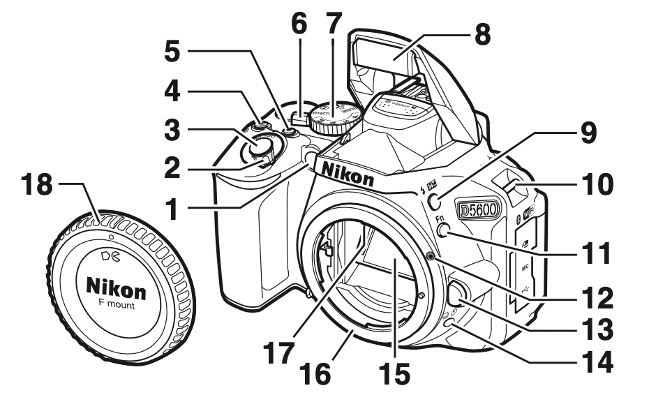 Nikon D5600 - Nikon D5600, Photography Tutorials, Online Photography Courses, Digital Photography, Camera Reviews