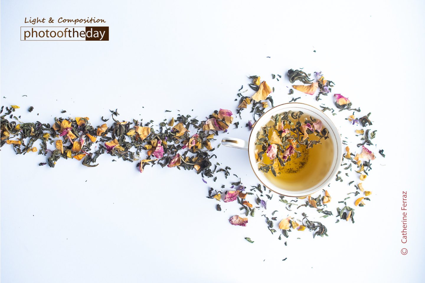 Strawberry Season by Catherine Ferraz - Food Photography, Art Photography, Photo of the Day, Photography Awards, Online Photography Courses