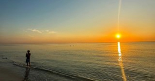 Peace by Baris Tezcan - Photojournalism, Photography, Art Photography, Photo of the Day, Peace