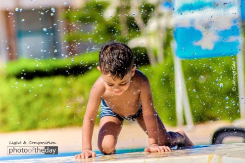 Delicious Cheese Cake by Ahmed Galal - Food Photography, Award Winning Photography, Photography Awards, Light & Composition University,  Photo of the Day
