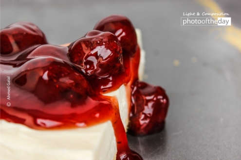Delicious Cheese Cake by Ahmed Galal - Food Photography, Award Winning Photography, Photography Awards, Light & Composition University,  Photo of the Day