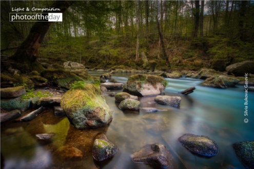 By the River by Silvia Bukovac Gasevic - Nature Photography, Long Exposure Photography, Photography Awards, Photo of the Day, Light & Composition University